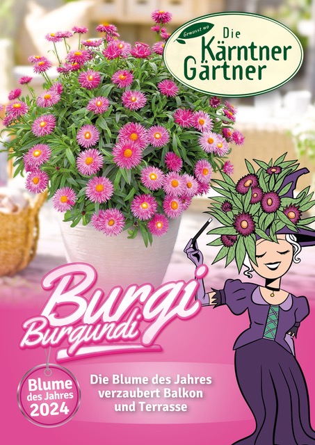 Blume des Jahres 2024