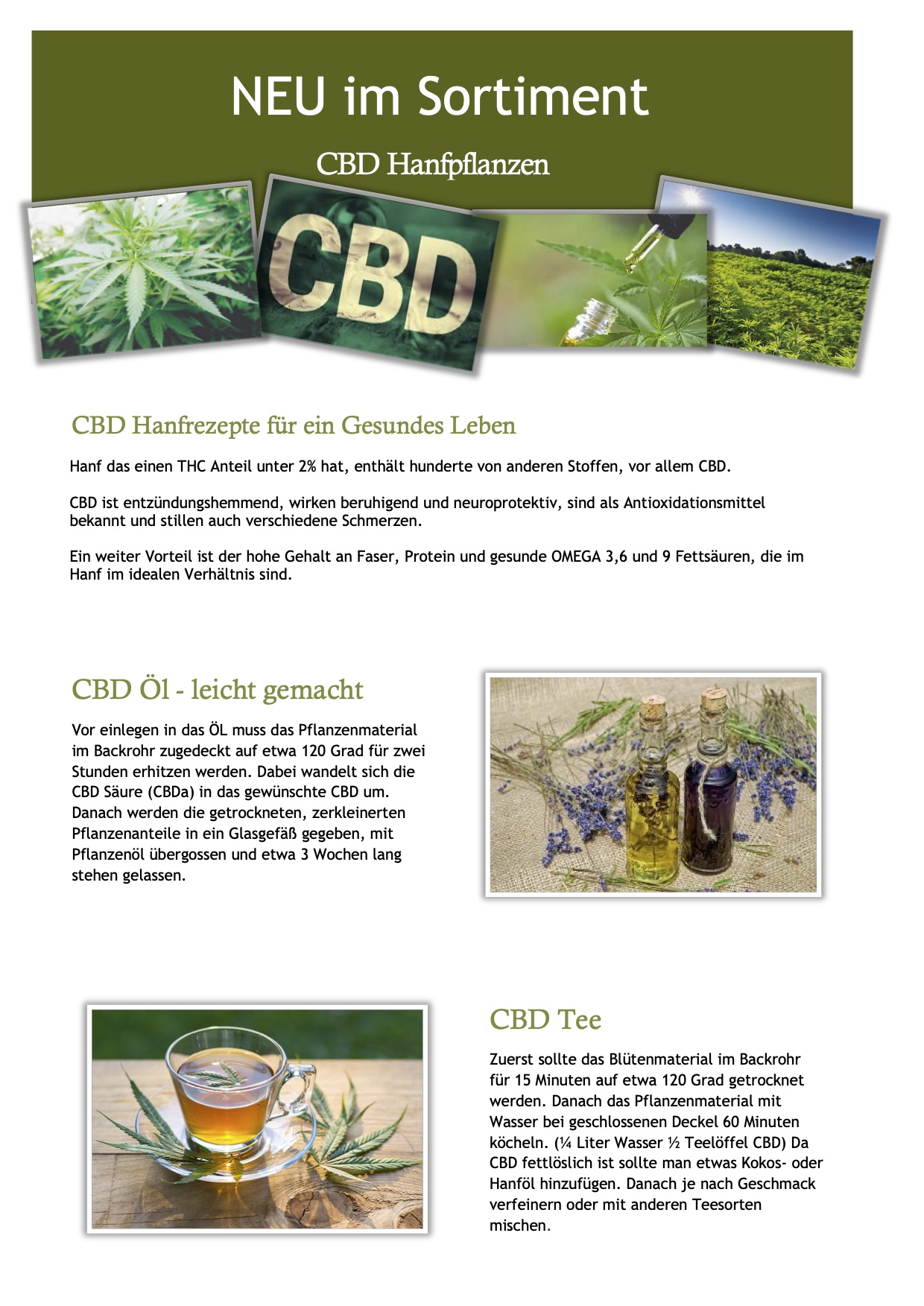 CBD Hanfpflanze